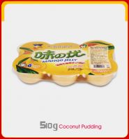 Coconut Pudding 510g