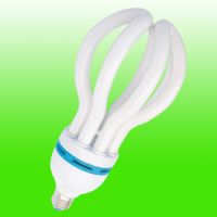 energy saving bulb, lutos