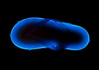 deelight flip-flops whit light