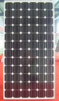 solar module
