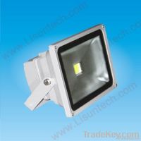LED Flood Light
