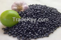 Black Kidney Beans