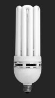 U Shape CFLs