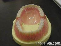 Denture