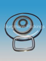 Spiral Wound Gasket