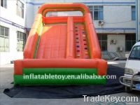 PVC  inflatable jumping slide with pool /inflatble slide for fun