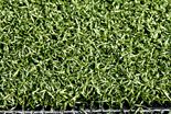 artificial grass for golf