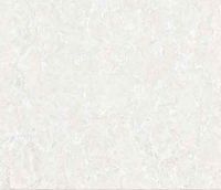 Polished Ceramic Tile