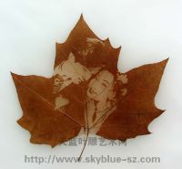 The sky blue leaf carves the artistic synopsis