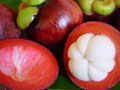 mangosteen