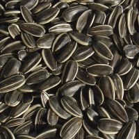 sunflower seeds