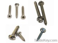 Self Tapping Screw