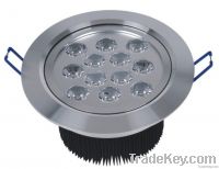 LED Down Light