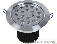 LED Down Light