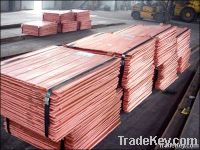 Copper Cathodes