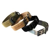 Heavy Duty Dog Collars