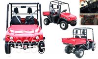 Utility Vehicle (Utility Vehicle-250cc-1)