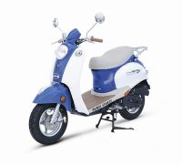 50CC DOT EPA SCOOTER