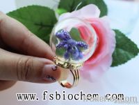 Empty Containers, Glass ball rings, glass globe rings, glass globe bottle