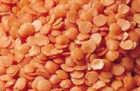 Red Split Lentils