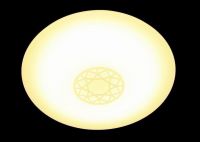 Living room Ceiling Lights - 10 Levels Adj.