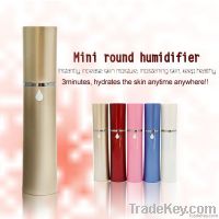 mini handy mist sprayer