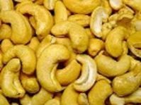 Cashew Nut Kernels WW210, WW240, WW320