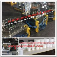 Plastic pail mould