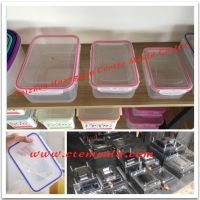 Lock lock mould, food container mould, food box mould