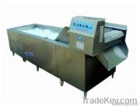 vegetable washing machine