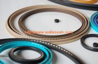 Spring energized seals