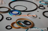 PTFE Spring Seal