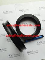 FS Casing &amp; Tubing Seal