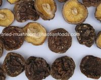 dried shiitake