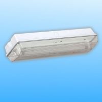 Super bright emergency light