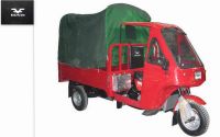 250cc Tricycle