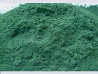 We Need Buyers For Our Spirulina