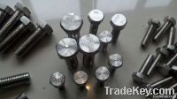 Inconel825 hex bolt