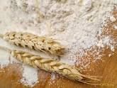 Flour