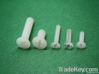 Oval Head Screw