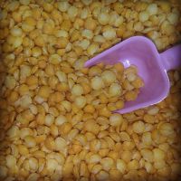 YELLOW SPLIT PEAS