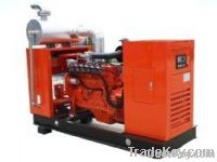 CHP natural gas generator