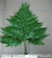 LEATHER FERN