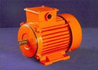 Electrical Motors