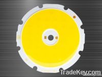 30W COB light source