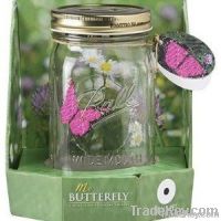 Butterfly Jar Craft Glass