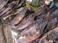 Dried Fish ( Tuna )