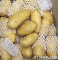 Potato@farm price