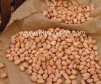 Peanuts Kernels, crop 2010/2011