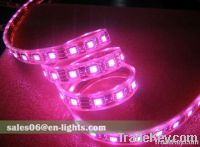 LED Light  COB 3W LED Spot light  LED Transit Bus Light, LED Lights